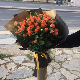 Turuncu Çardak Gülü